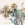 Cropped_25_6793
