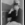 Cropped_25_12233