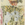 Cropped_25_12231