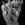 Cropped_25_11264
