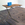 Cropped_25_6272
