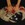 Cropped_25_6315