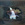 Cropped_25_6309