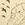 Cropped_25_6399