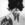 Cropped_25_6334