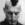 Cropped_25_6330