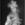Cropped_25_6296