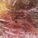 Cropped_75_proportional_710_shoplifter