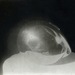 Cropped_75_proportional_710_brancusi