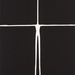 Cropped_75_7__20gormley_space_2007