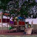 Cropped_75_benjamin-jones_treehouse