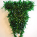 Cropped_75_09_02