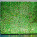 Cropped_75_14