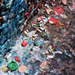 Cropped_75_gum__20seattle