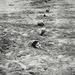 Cropped_75_liverpool_20beach