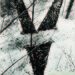 Cropped_75_dibbets