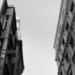 Cropped_75_timthumb