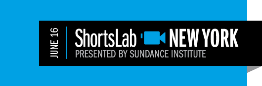 Proportional_620_shortslab-2012-ny