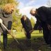 Cropped_75_corbinianplanting