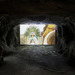 Cropped_75_tellez