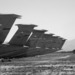 Cropped_75_309