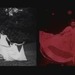 Cropped_75_guidemovingimage