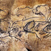 Cropped_75_5b