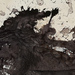 Cropped_75_5