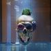 Cropped_75_2012-06-28_the-nature-of-disappearance_1