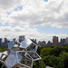 Cropped_75_saraceno