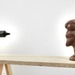 Cropped_75_2012-06-28_the-nature-of-disappearance_1