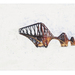 Cropped_75_proportional_710_dsc_9358