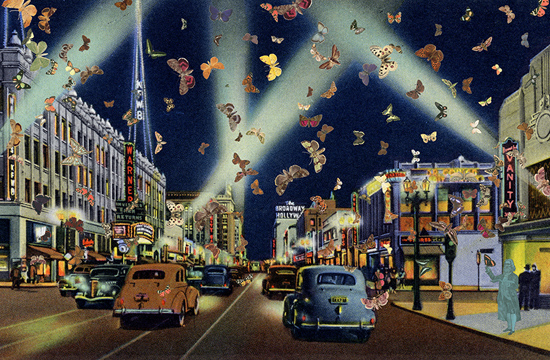 Proportional_620_proportional_710_0412_butterfly_man