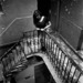 Cropped_75_13.jr97116-66-19pp