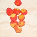 Cropped_75_kellyapples