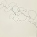 Cropped_75_kellybriar