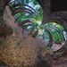 Cropped_75_5