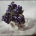 Cropped_75_8-kuehn-still-life-with-violets-ca-1908_blog_embed