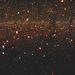 Cropped_75_kusamafirefly