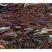 Cropped_75_halycon