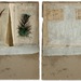 Cropped_75_pictographs-and-feathers-open
