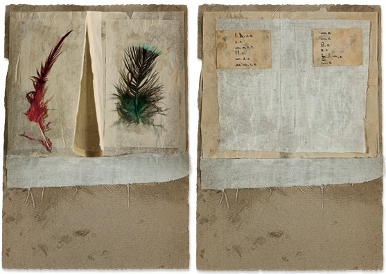 Proportional_620_pictographs-and-feathers-open