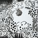 Cropped_75_kusamarecent04