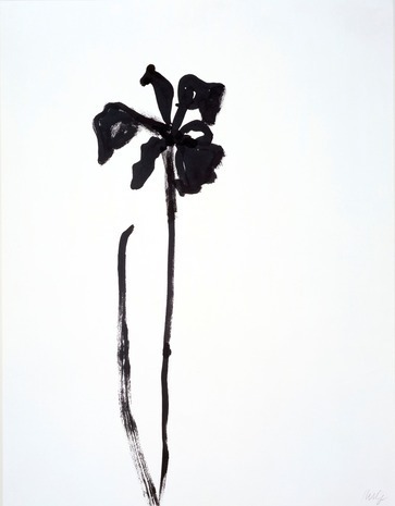 Proportional_620_pic4