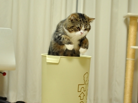 Proportional_620_maru