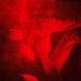 Cropped_75_hologram_h2