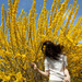 Cropped_75_hairb