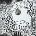 Cropped_75_proportional_620_kusamarecent04