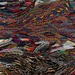Cropped_75_musson