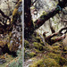 Cropped_75_im_20tired_20of_20travelling_202011